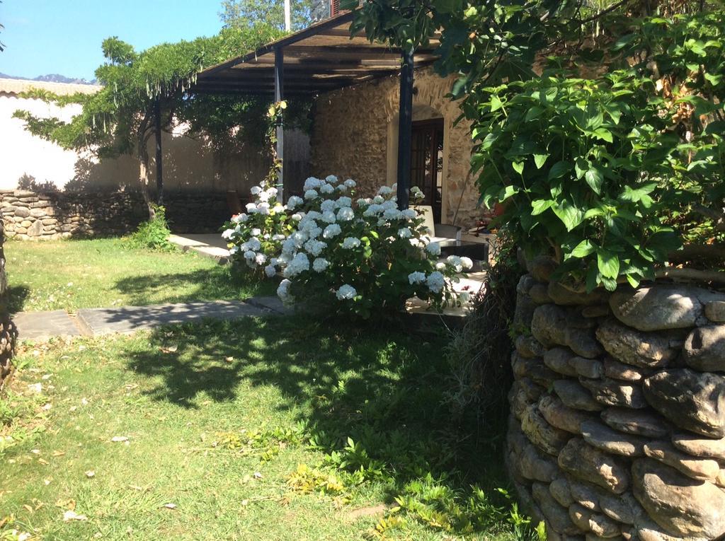 Residence De Tourisme Le Clos Des Vendanges Moriani Plage Exteriör bild